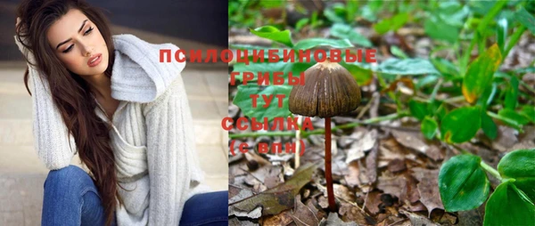 прущая мука Надым