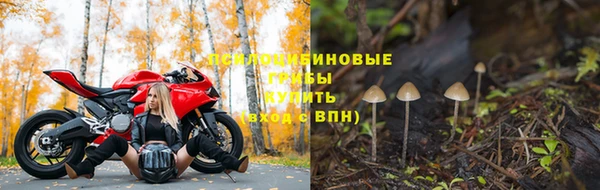 прущий лед Наволоки